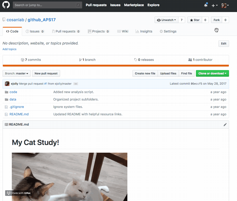 git fork